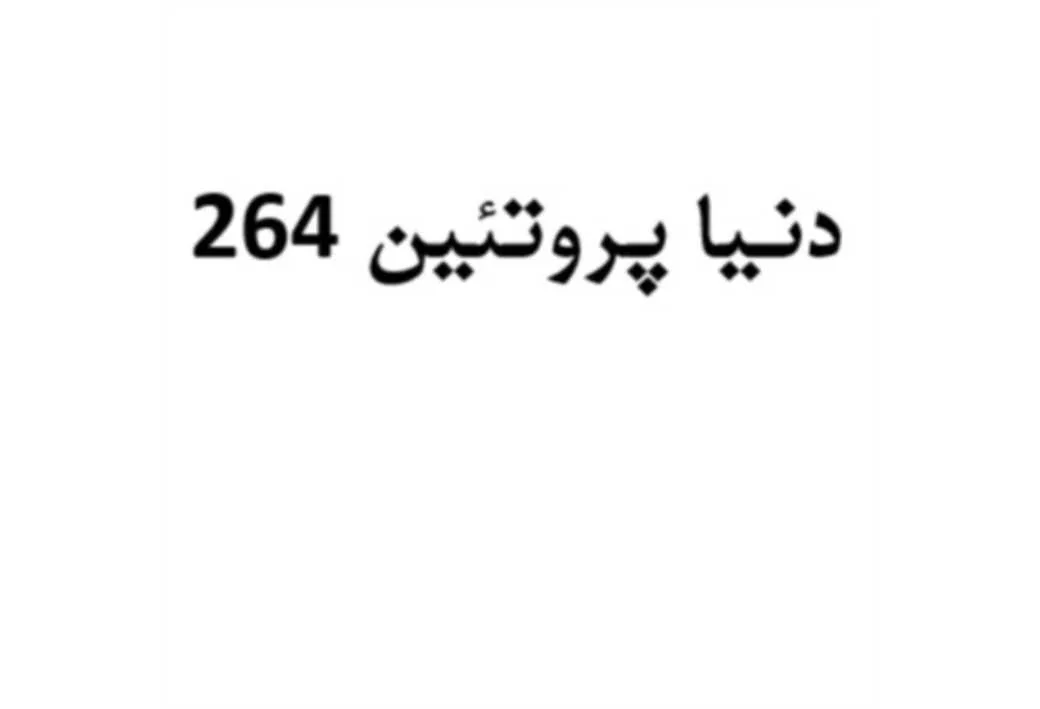 دنیا پروتئین 264