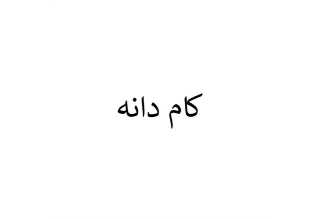 کام دانه