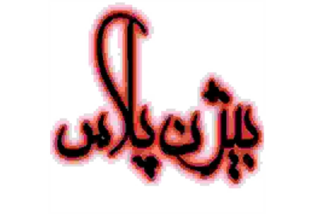 بیژن پلاس