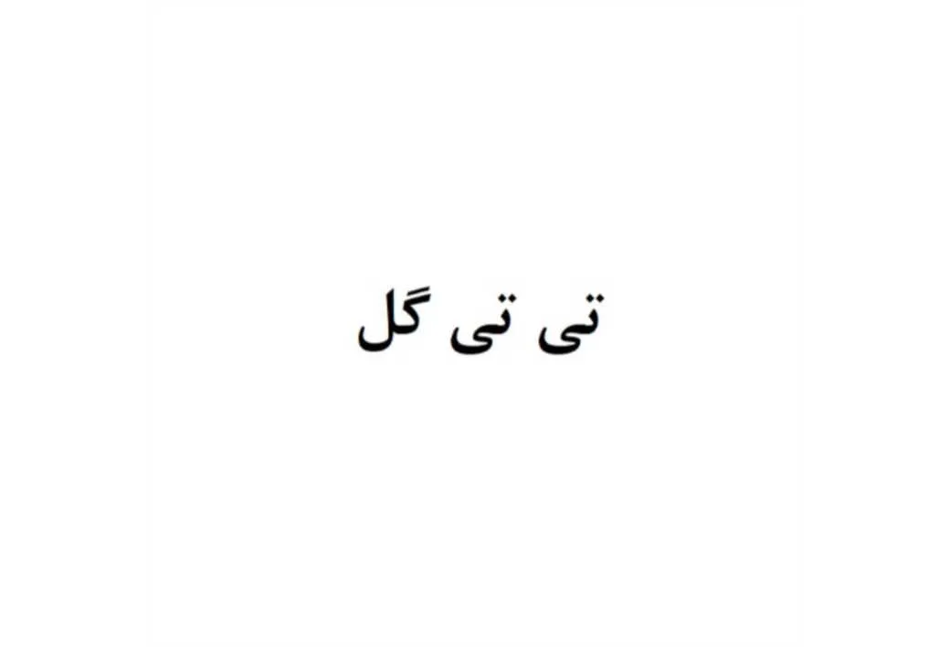تی تی گل