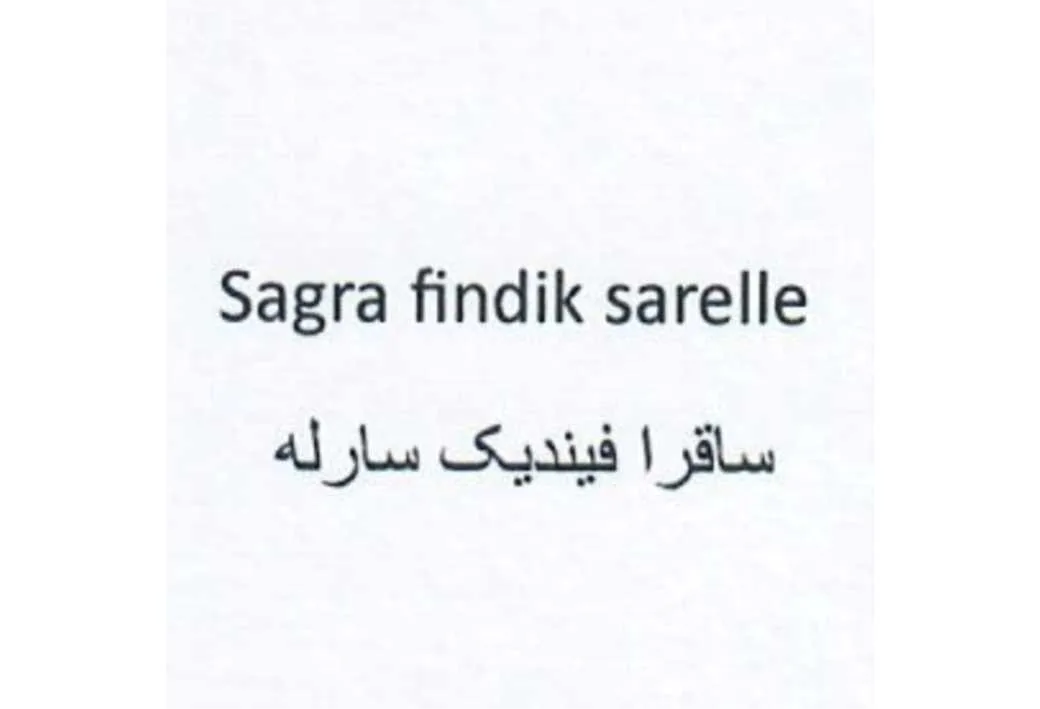 Sagra findik sarelle ساقرا فیندیک سارله