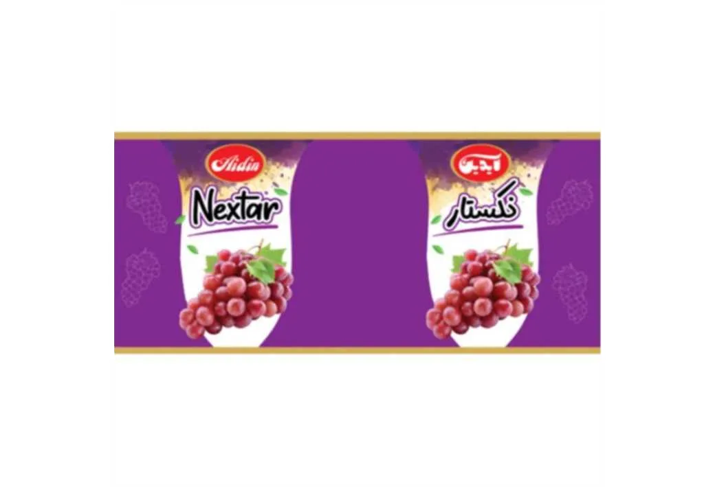 Aidin Nextar آیدین نکستار