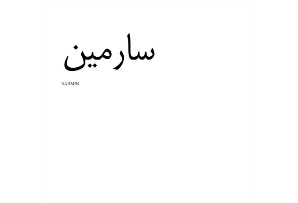 سارمین SARMIN