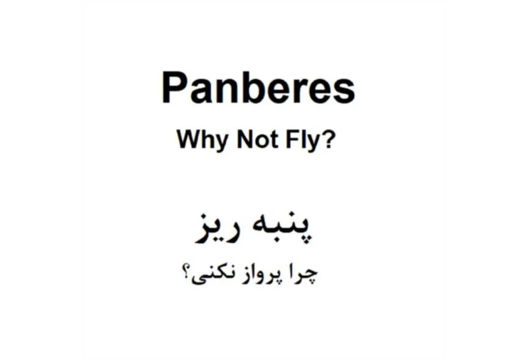 ?Panberes Why Not Fly پنبه ریز چرا پرواز نکنی؟