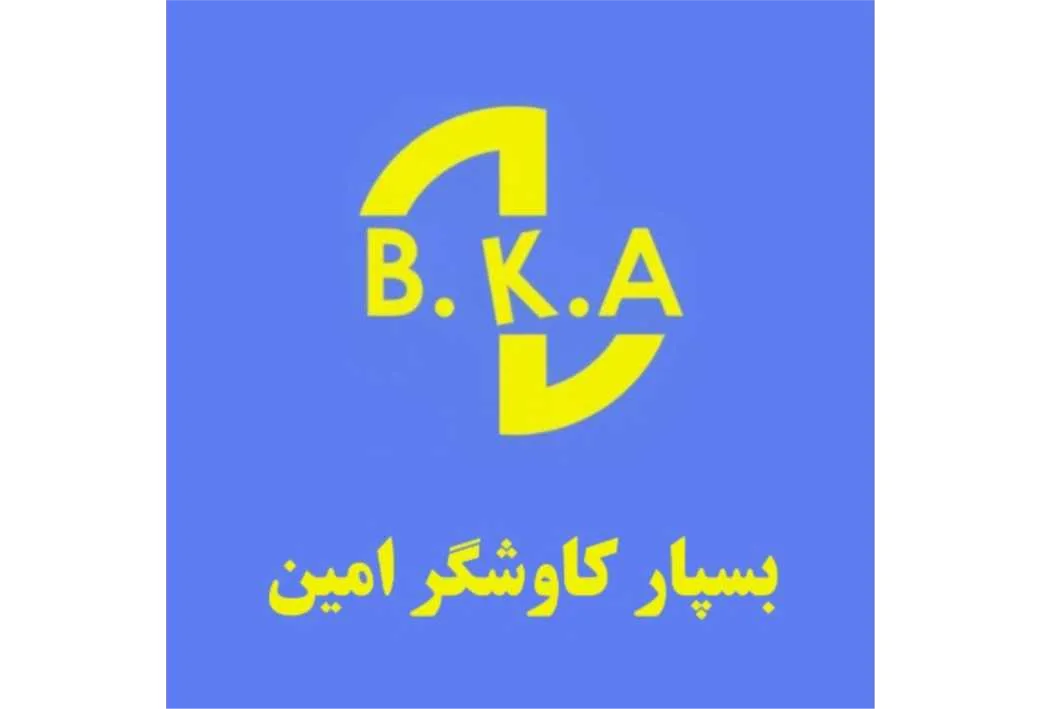 B.K.A بسپار کاوشگر امین