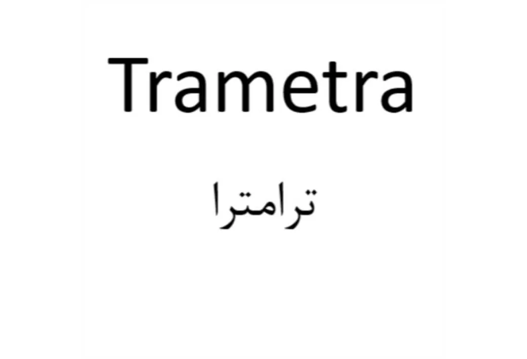 ترامترا Trametra
