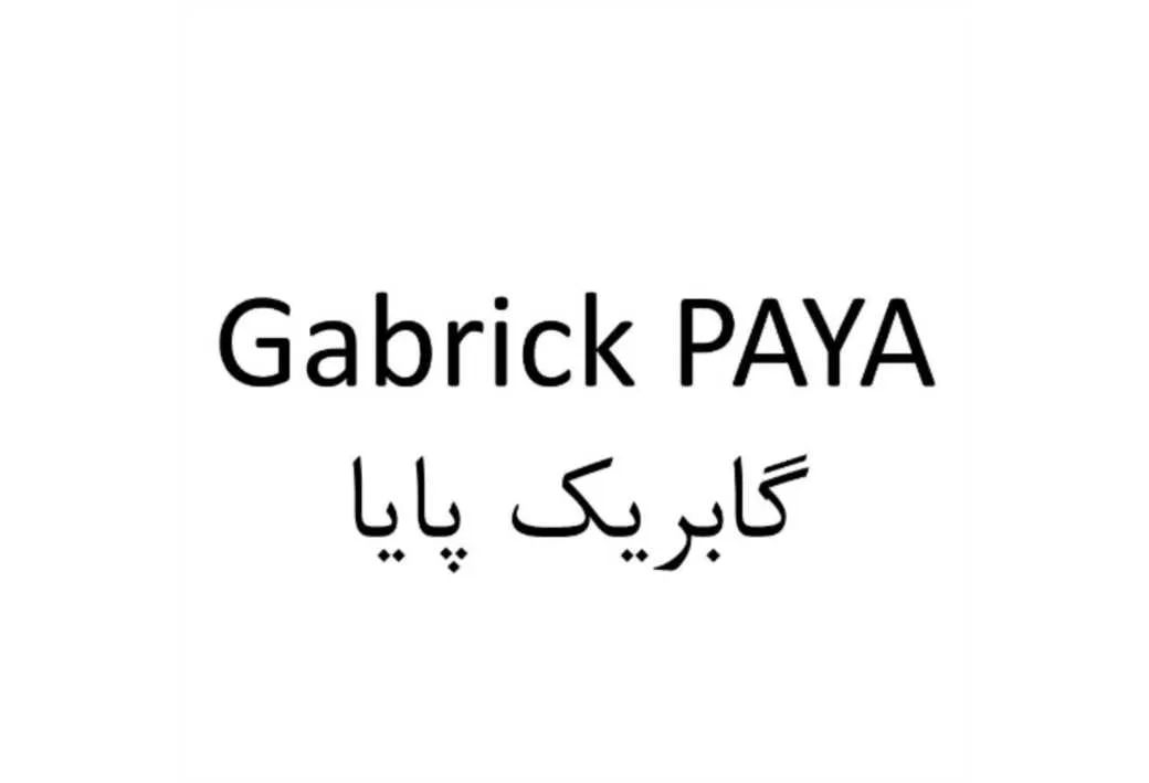 گابریک پایا Gabrick PAYA