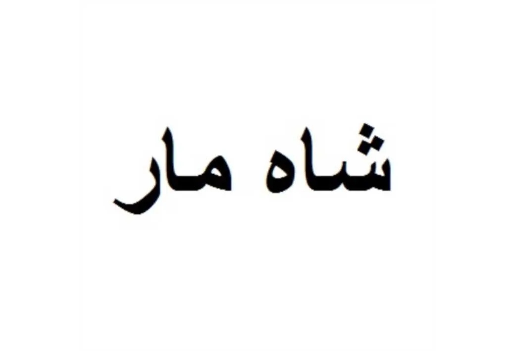 شاه مار