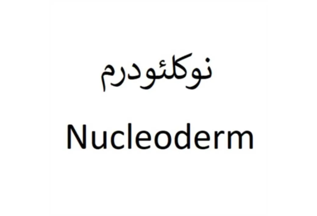 نوکلئودرم Nucleoderm