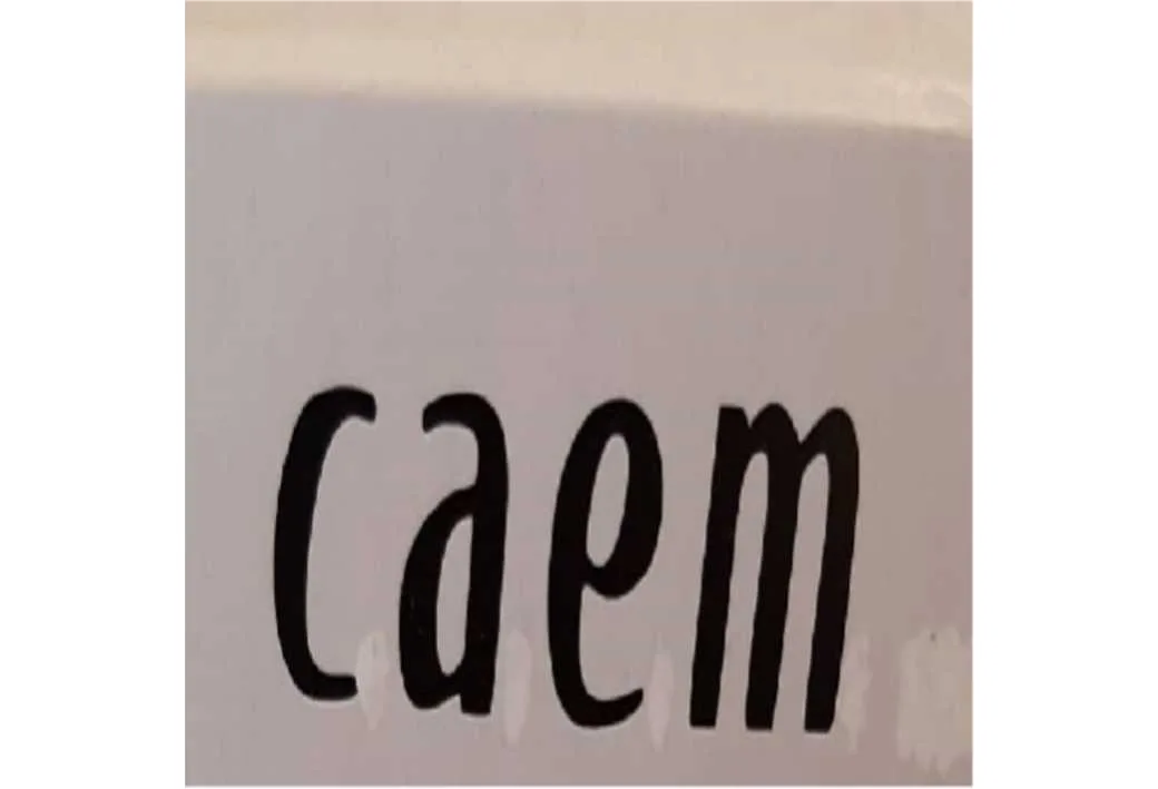 CAEM