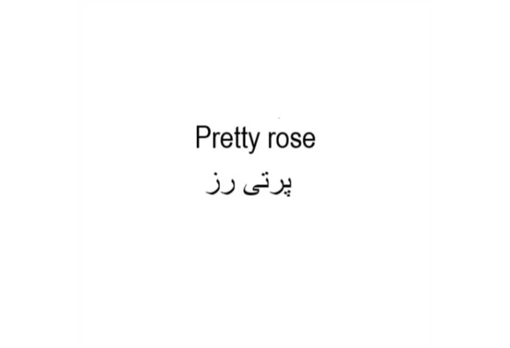 پرتی رز Pretty rose