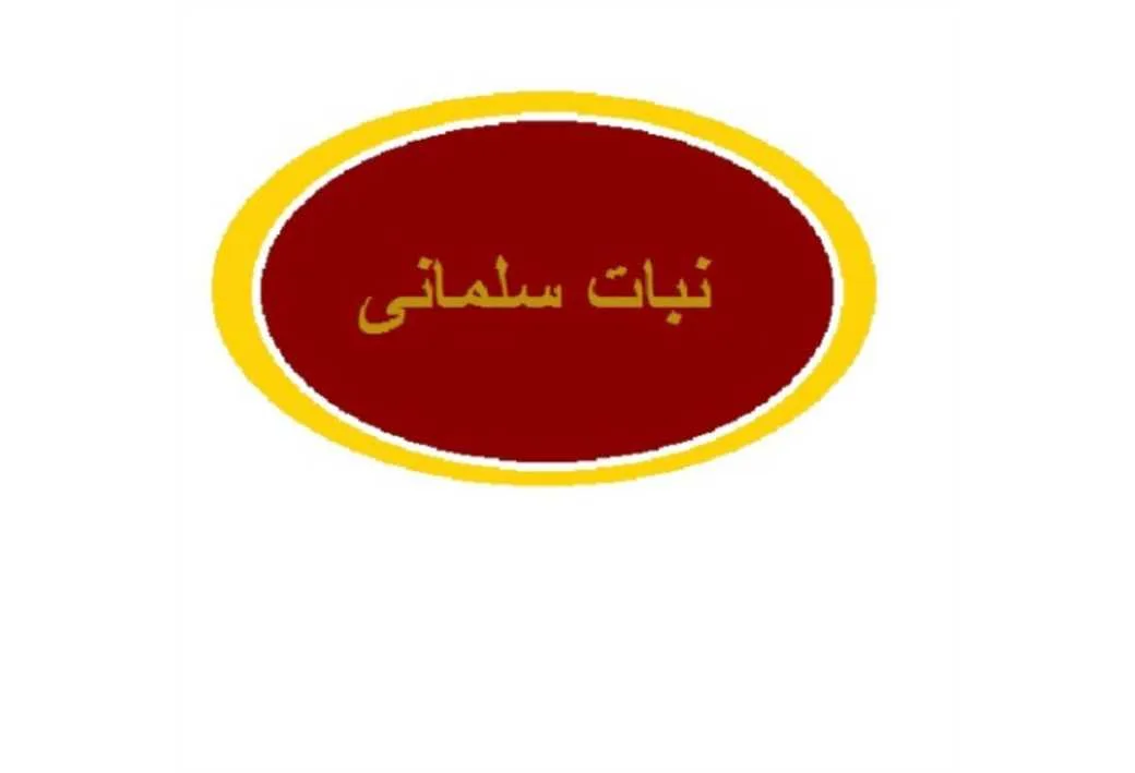 نبات سلمانی