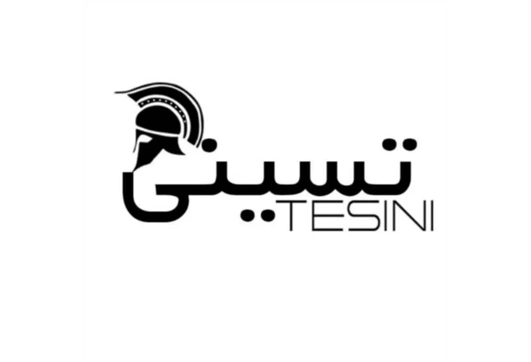 تسینی TESINI