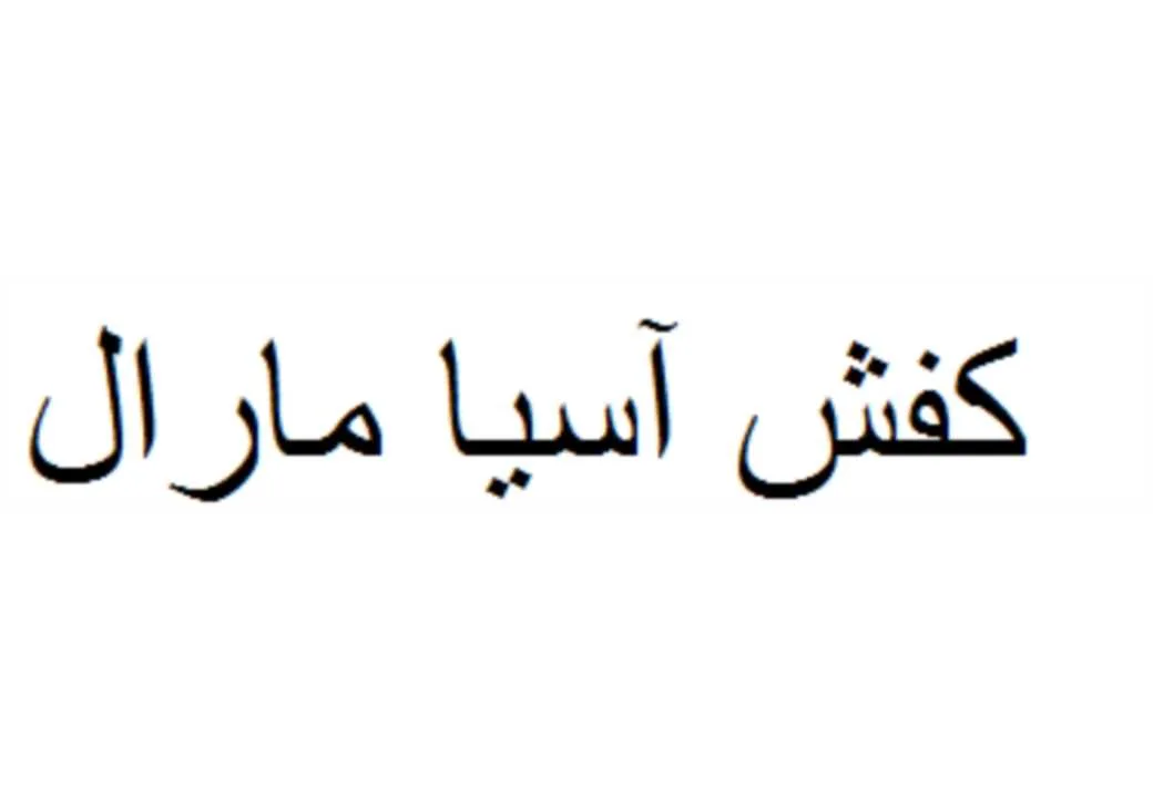 کفش آسیا مارال