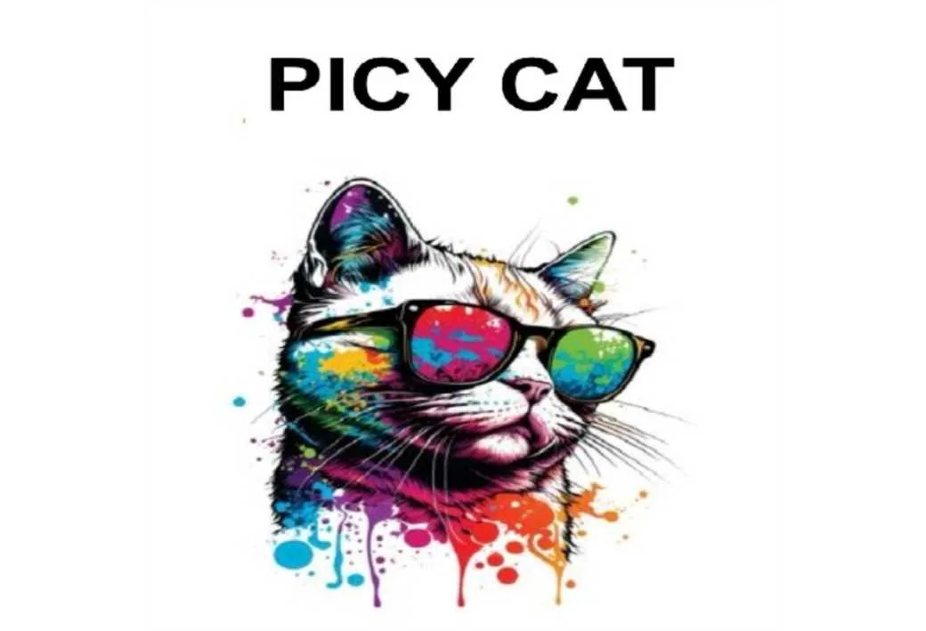 PICY CAT
