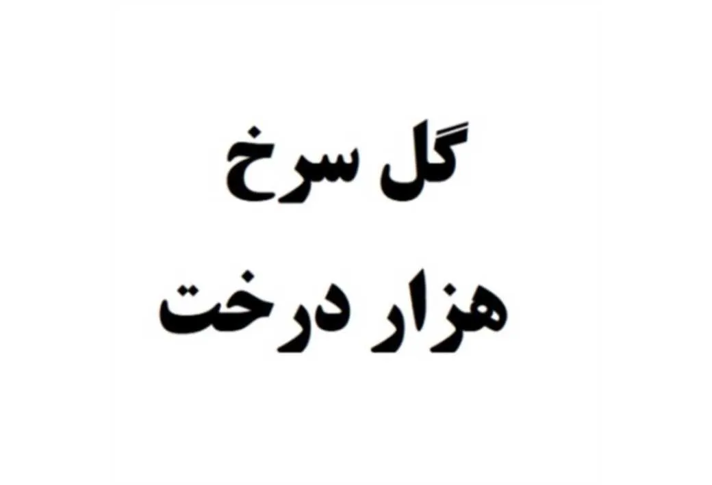 گل سرخ هزار درخت