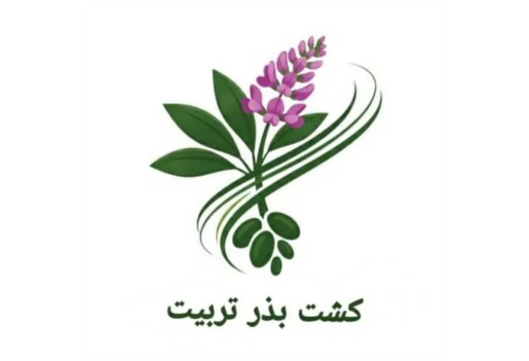کشت بذر تربیت