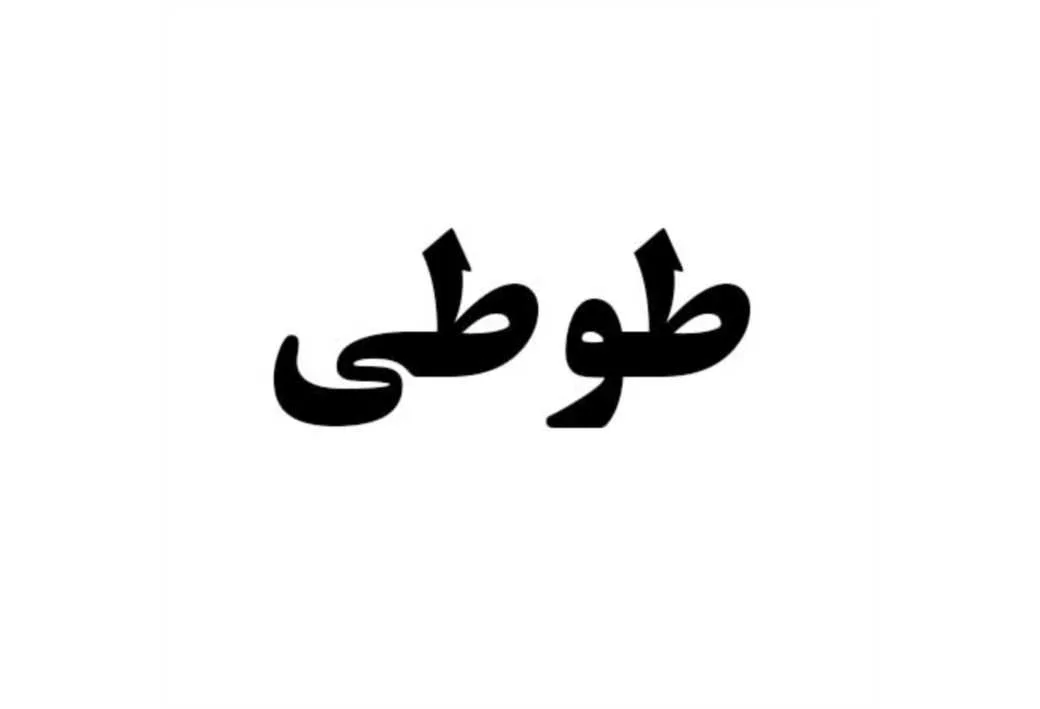 طوطی