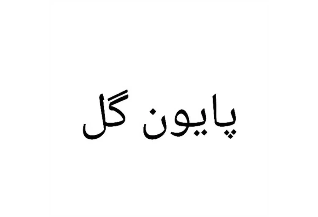 پایون گل