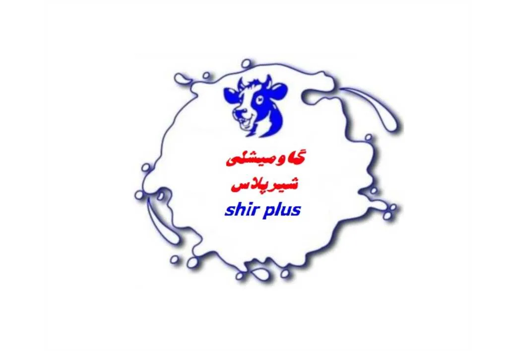 شیر پلاس گاو میشلی shir plus