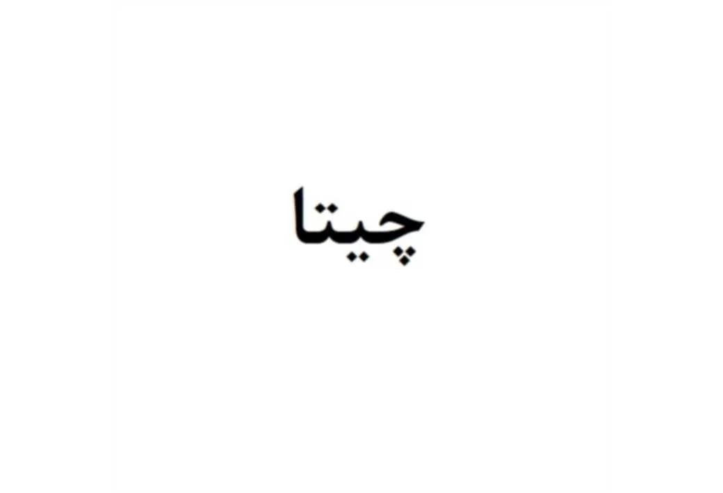 چیتا