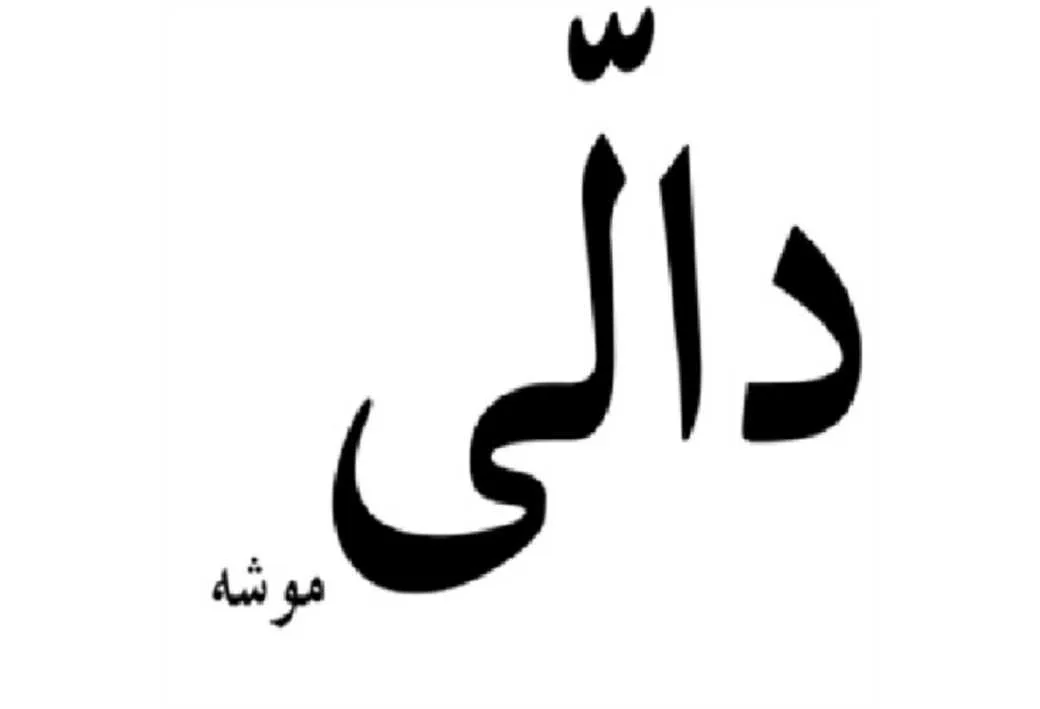 دالّی موشه