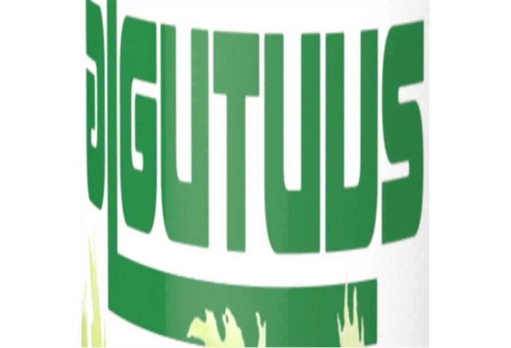 ALGUTUUS