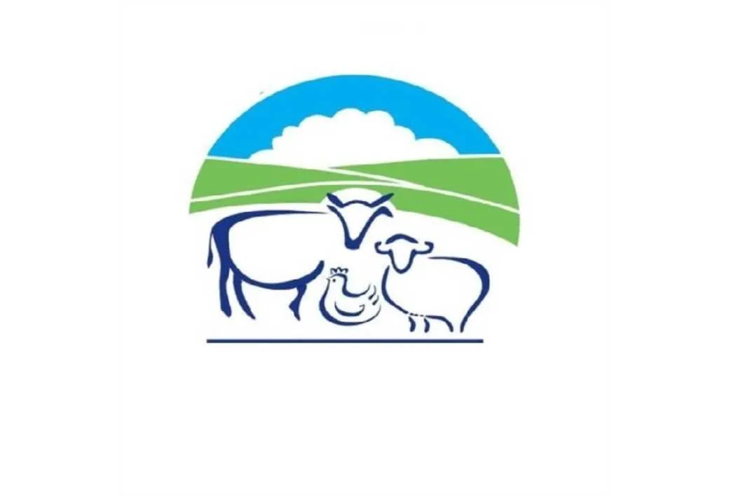 علامت تجاری 518413