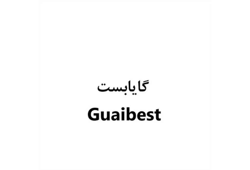 گایابست Guaibest