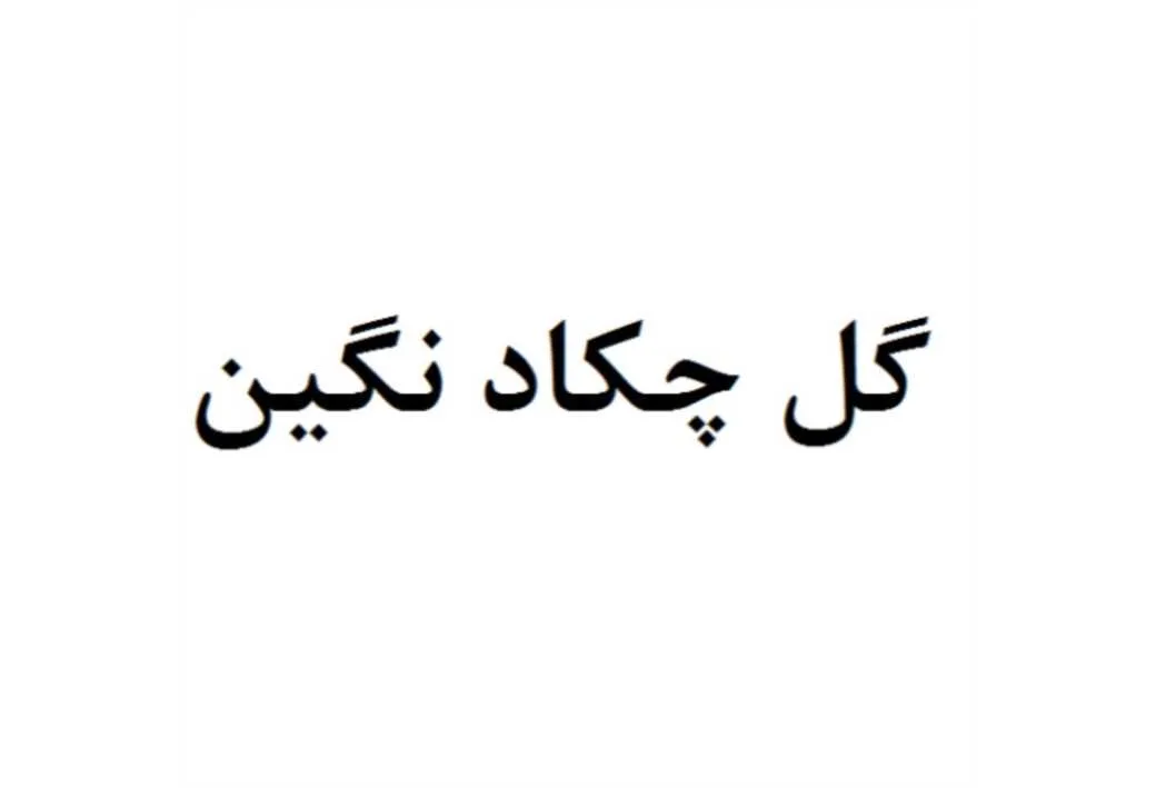 گل چکاد نگین