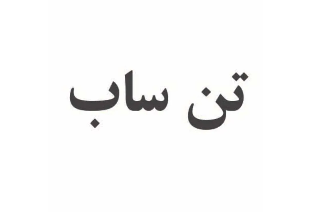 تن ساب